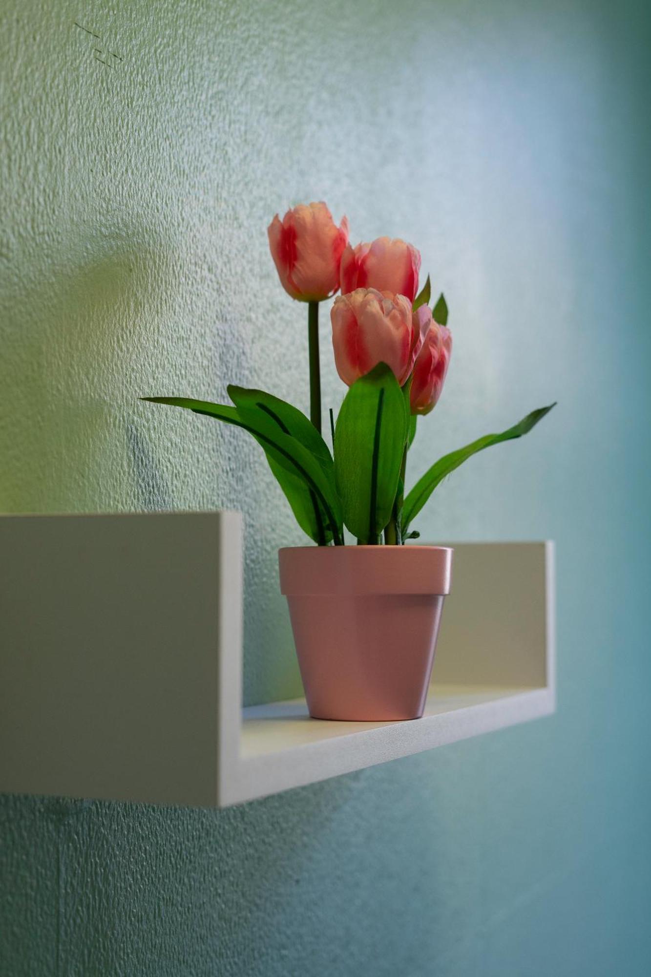 The Eden Apartment, Edinburgh City Center Kültér fotó
